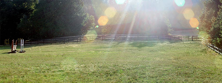 Jumper Field