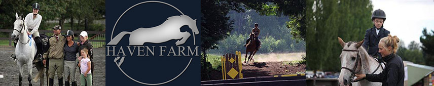 Haven Home Banner